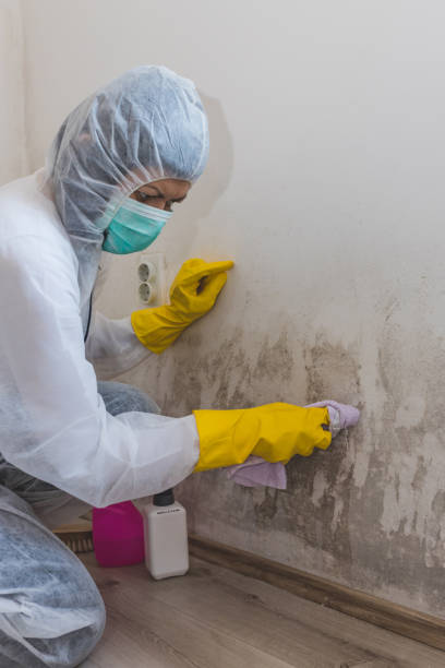 Best Mold Remediation for Healthcare Facilities  in Arbuckle, CA